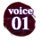 VOICE
