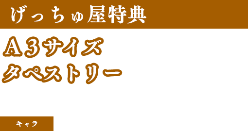 限定版